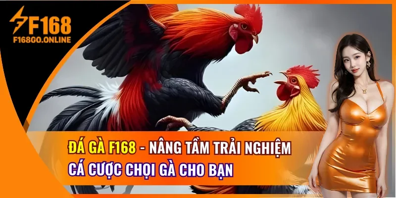 Đá gà F168